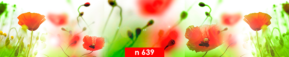 n 639